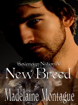 cover image of Sovereign Nation IV